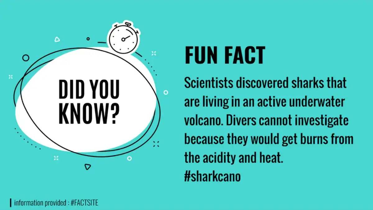 Digital signage fun facts screen content from Reach Media Network