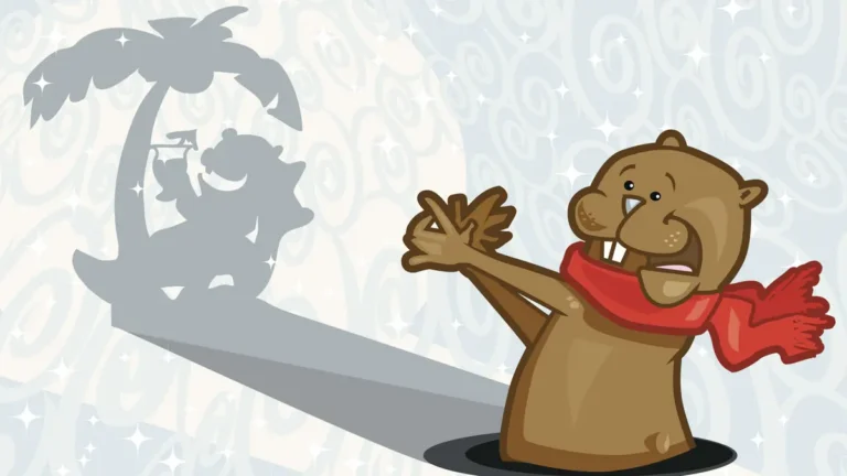 Groundhog Day digital signage, Reach Media Network