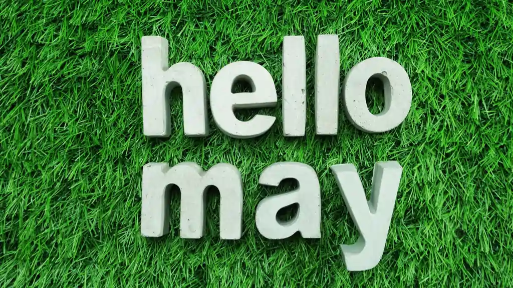 May digital signage, Reach Media Network