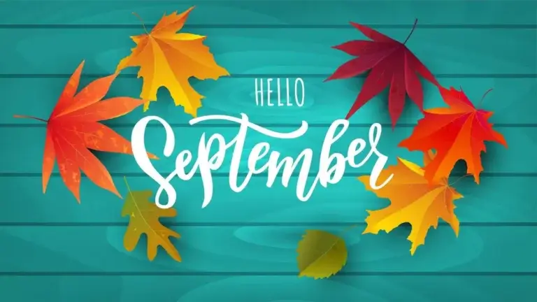 Reach Media Network September digital signage content design, Autumn leaves