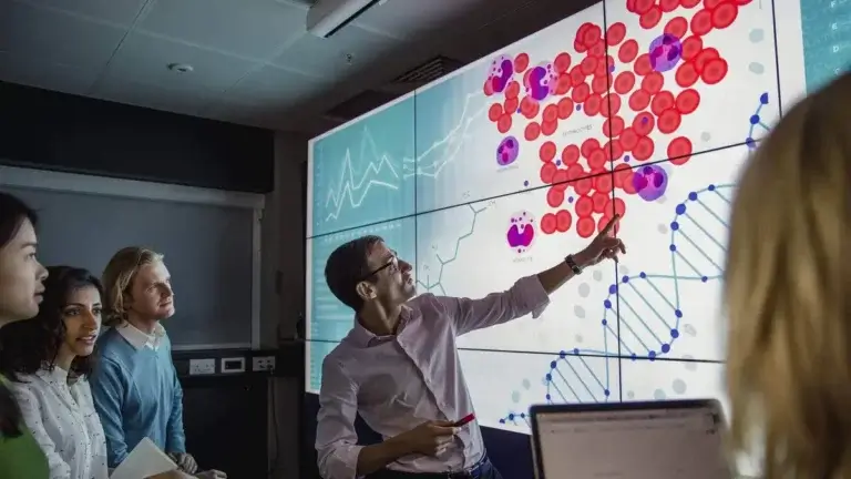 digital sign for schools, Reach Media Network