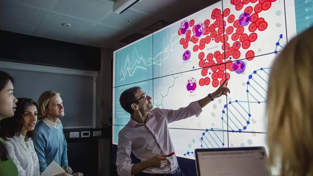 digital sign for schools, Reach Media Network