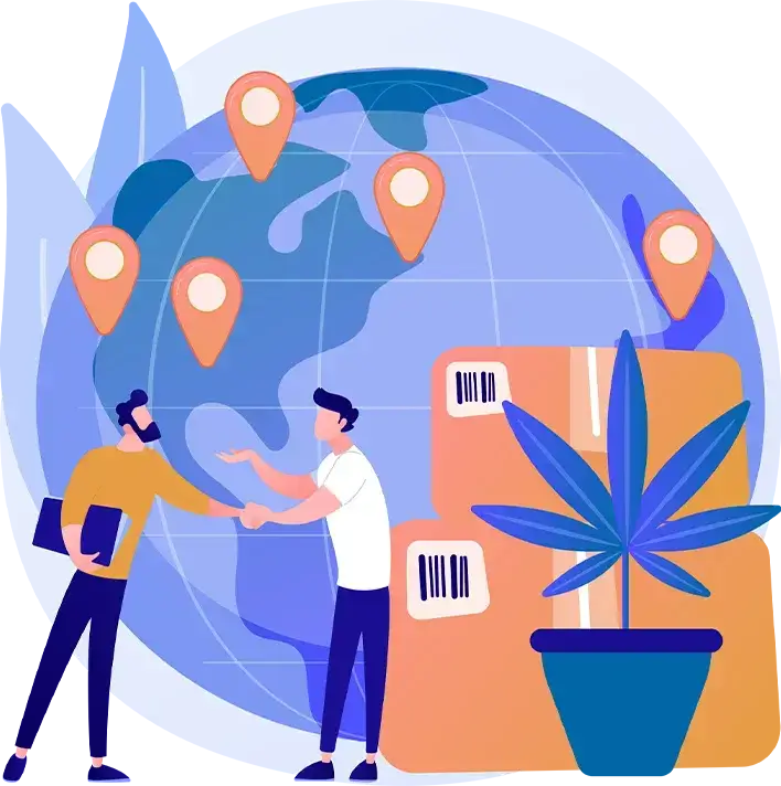 solutions for digital signage software, Reach Media Network